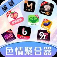 色情聚合器